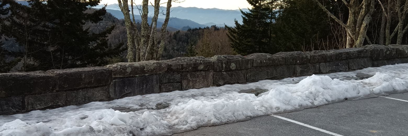 Ronnie Atkinson banner