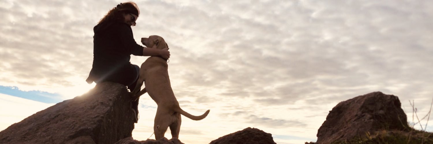 Katie O'Reilly banner