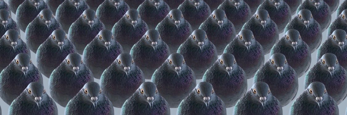 TheLilyfish's profile banner image