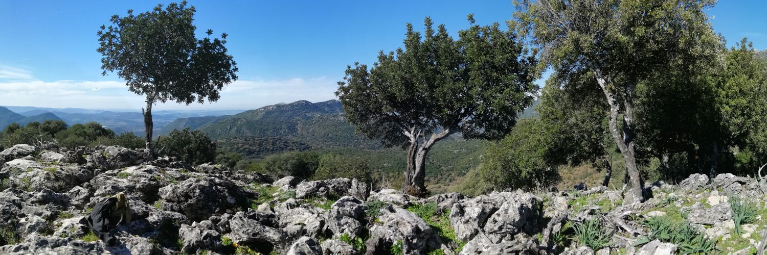 JaviJare's profile banner image