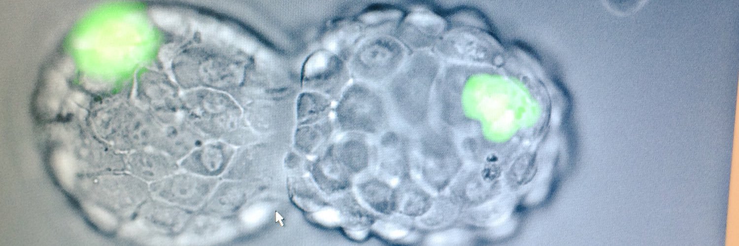 Edward Grow, PhD banner