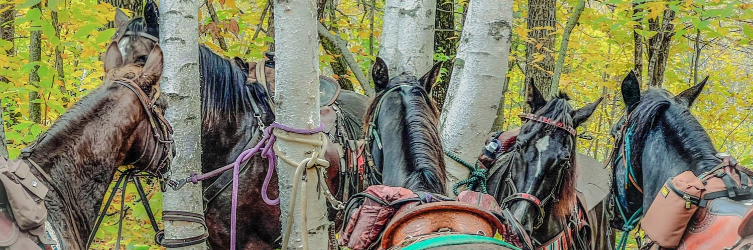 KellyJeanRinger's profile banner image
