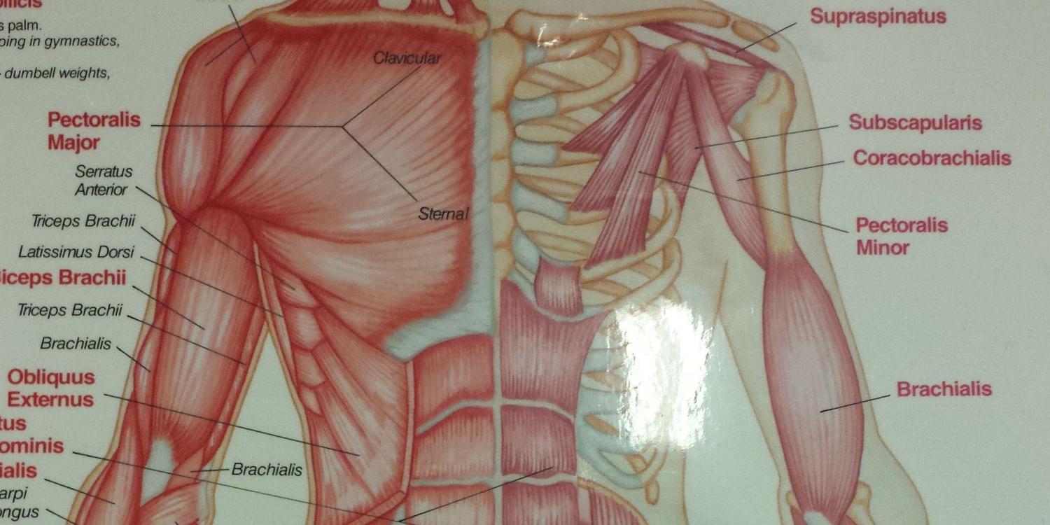 andrew nicholls banner