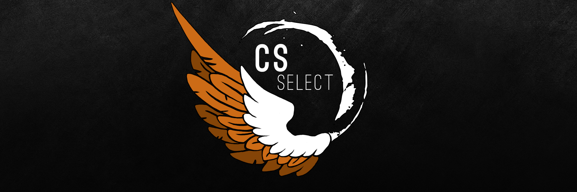 CS_Select's profile banner image