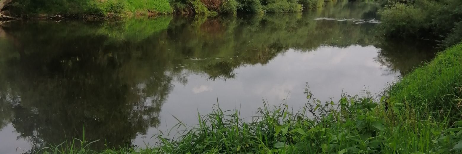 Jeremy Skinner banner