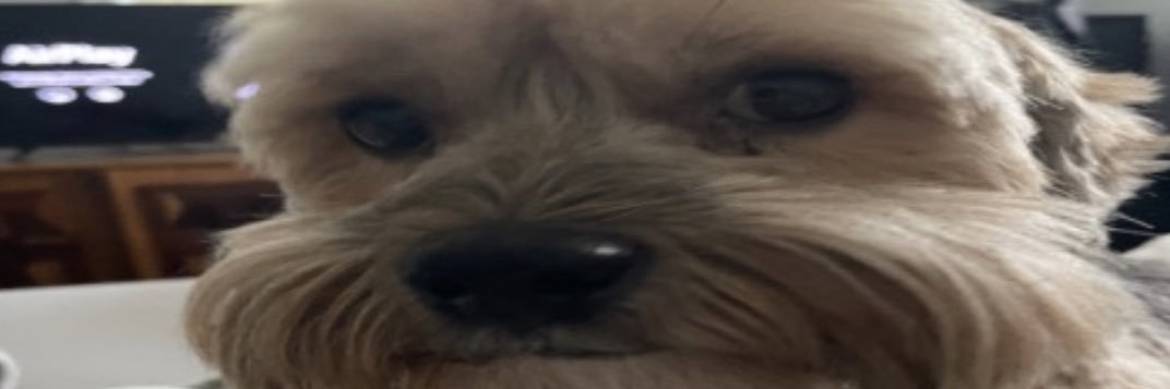 JakeAint_Fake's profile banner image