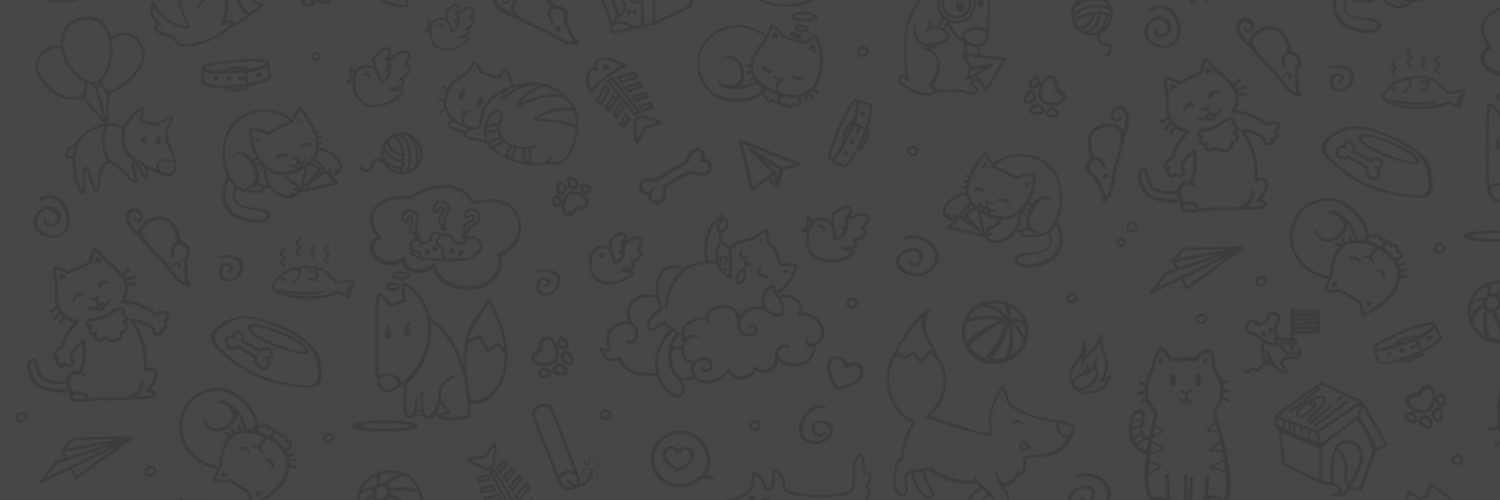 Telegram Brasil banner