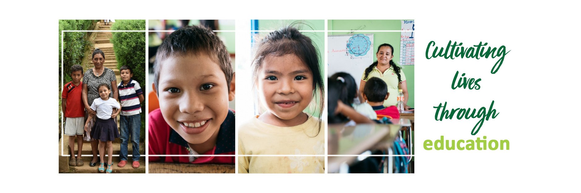 Seeds for Progress banner