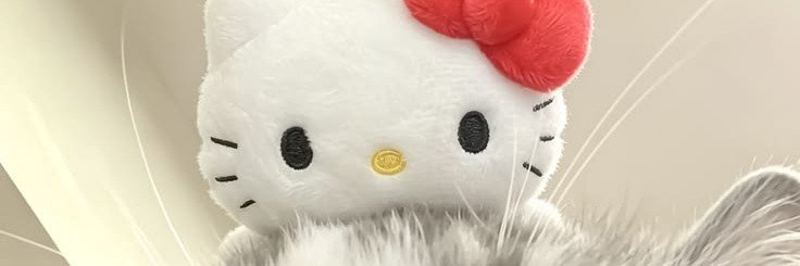 anakitty__'s profile banner image