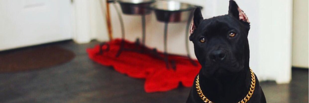 _Luxurykev's profile banner image
