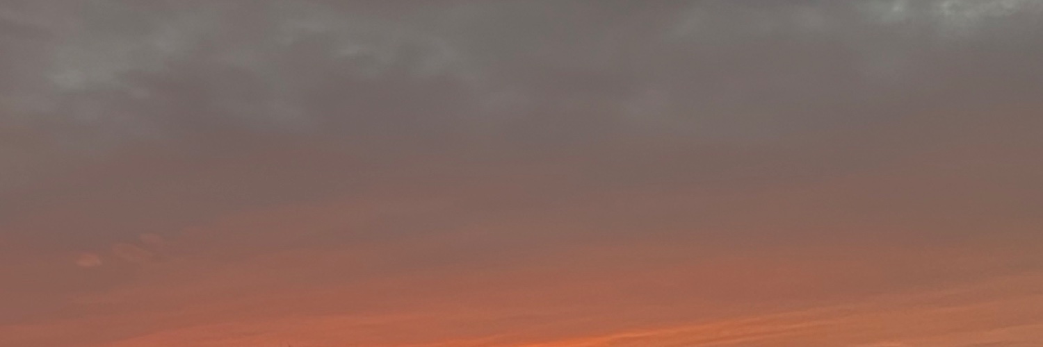 NvrDiEz's profile banner image