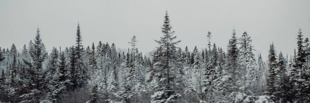 O487O's profile banner image