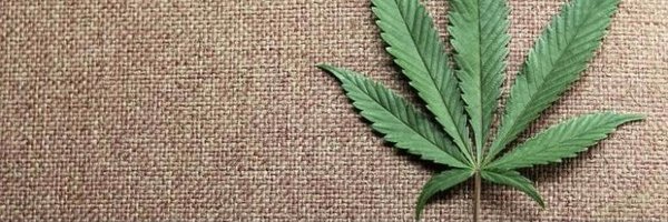West Coast Cannabis Profile Banner