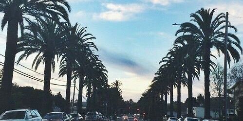 msofia23_'s profile banner image