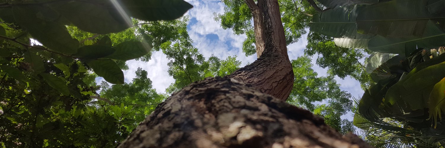 alejacortess11's profile banner image