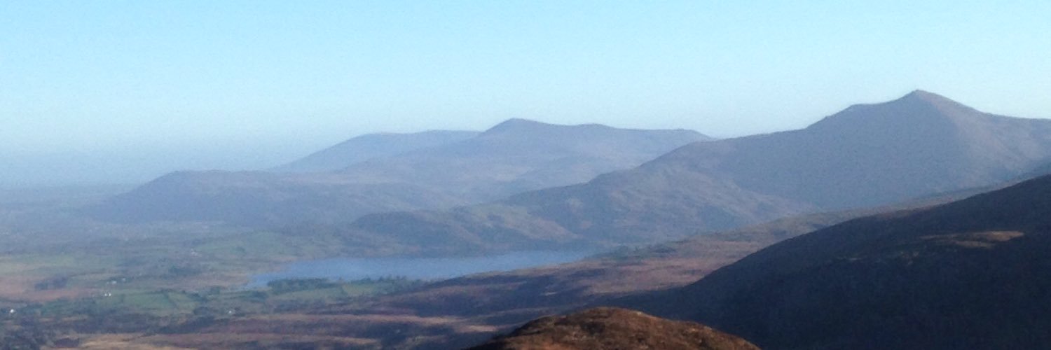 Brian O Halloran banner