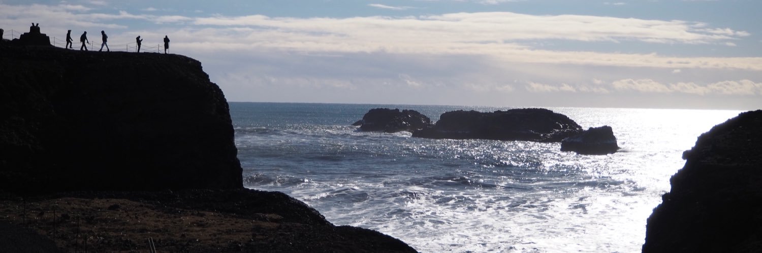 ellengarfinkle's profile banner image