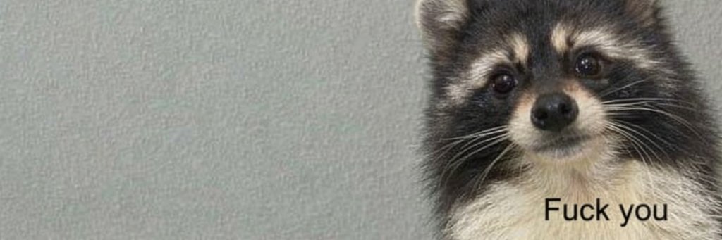 SuarezSahi's profile banner image