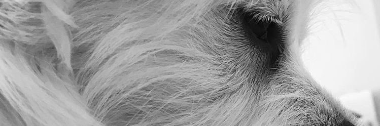 edarkann's profile banner image