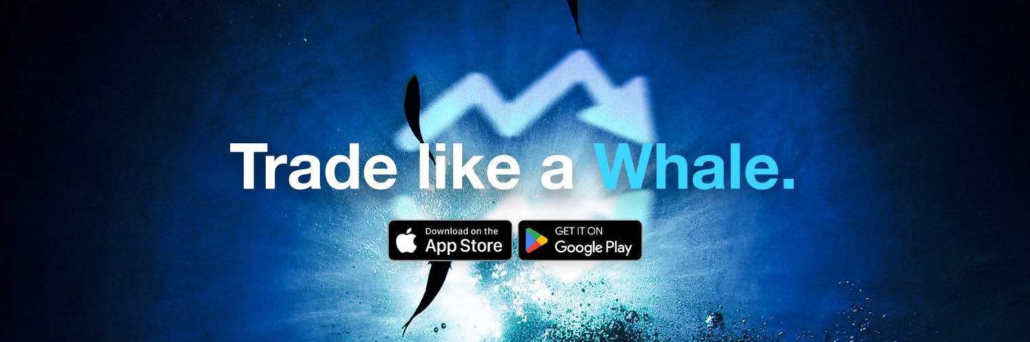 MarketMirror's profile banner image