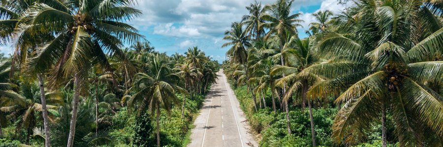 VeganFilipino's profile banner image