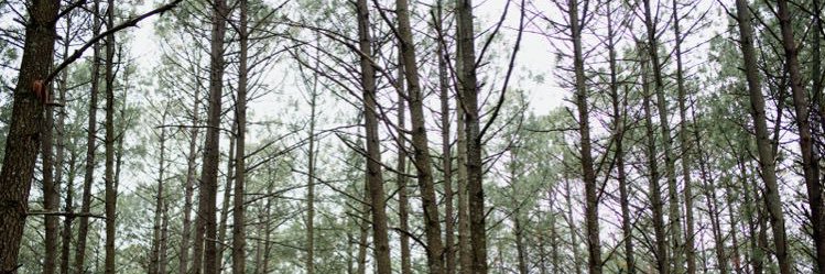 SoloAlexM's profile banner image