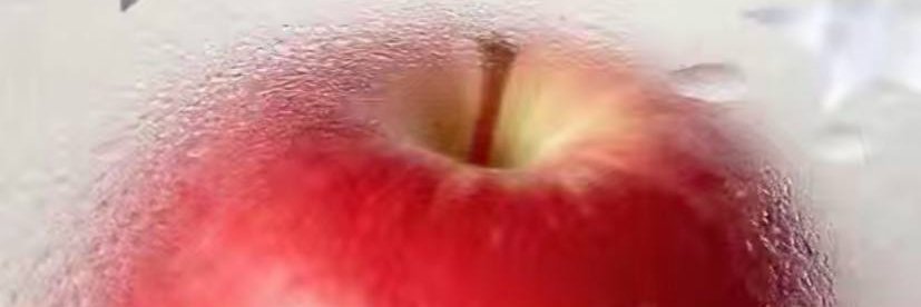 sevil_basarslan's profile banner image