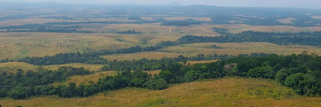 UCLA Center for Tropical Research banner