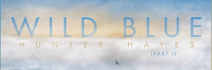 Dee THentze banner