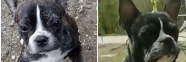 𝘾𝙝𝙧𝙞𝙨𝙩𝙮 𝙛𝙧𝙤𝙢 𝙊𝙝𝙞𝙤 banner