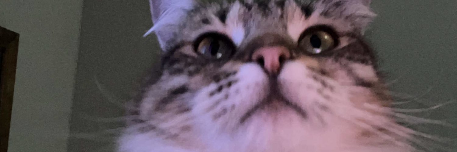 mnstrfucker's profile banner image