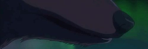 lexithelonewolf's profile banner image