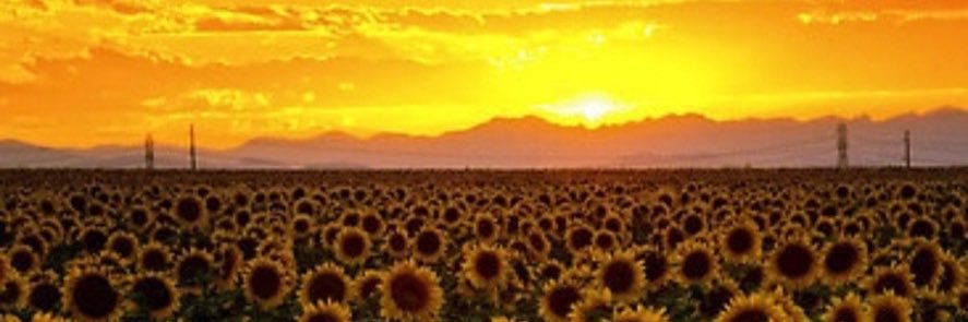 angelikajade_'s profile banner image