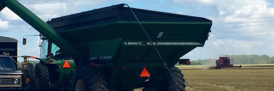 erovick6's profile banner image