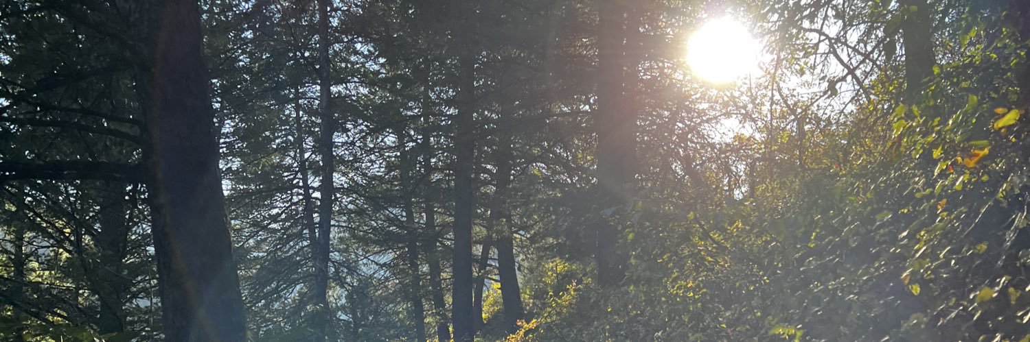 slut banner