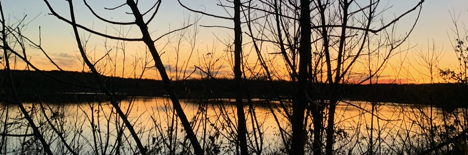 __brooke_sutton's profile banner image