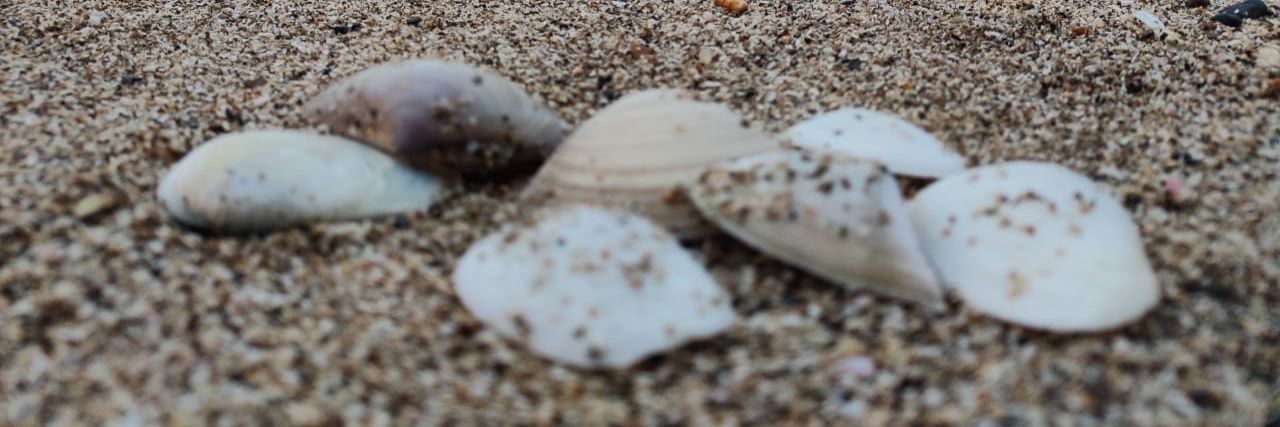 Dipti Gandhi (she/they) banner