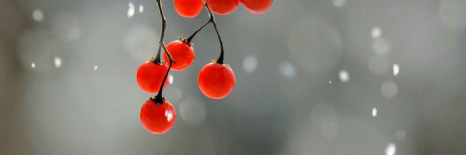 ummesohaib's profile banner image