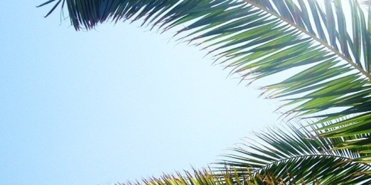 acuteonchronic's profile banner image