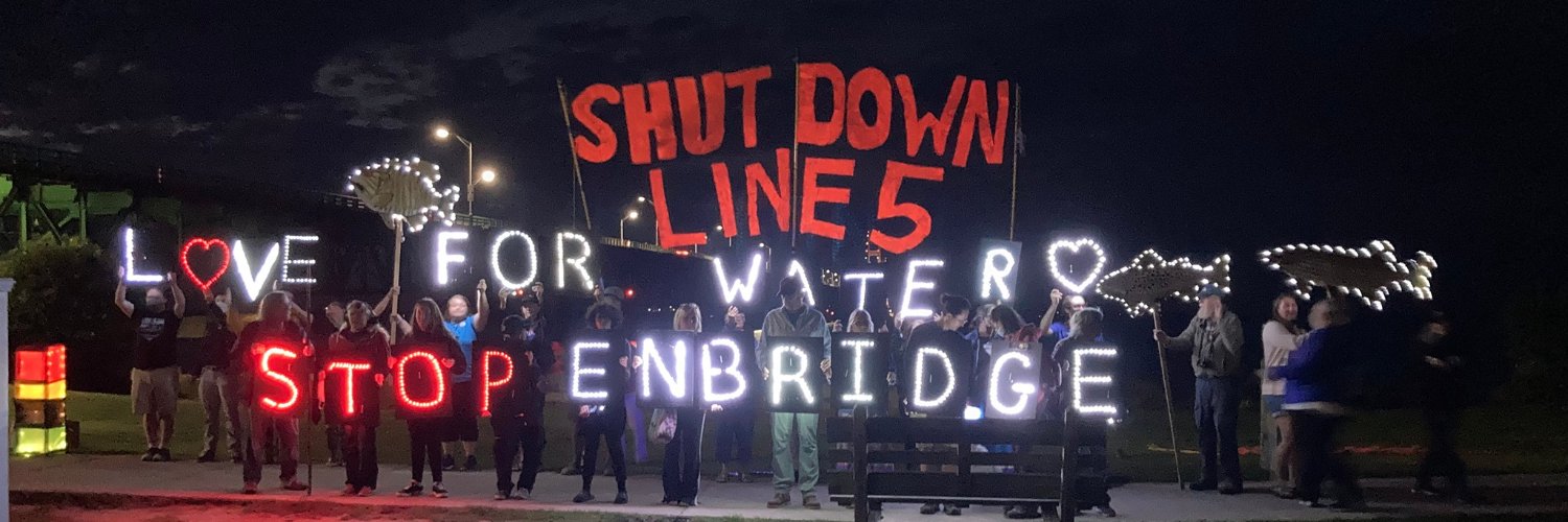 Detroit Green Party banner