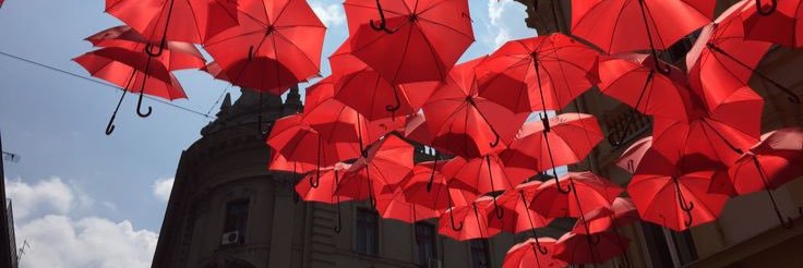 sexworkernation's profile banner image