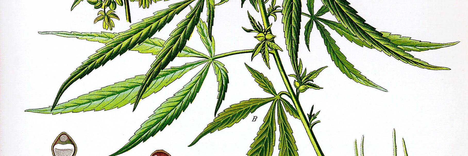 highholidaze's profile banner image