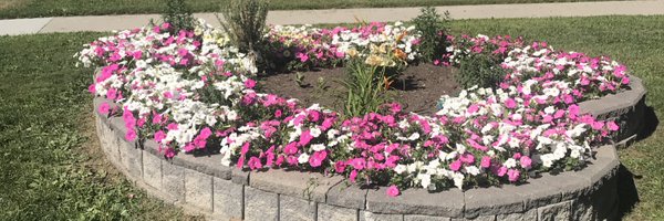 DeshayeCatholic Profile Banner