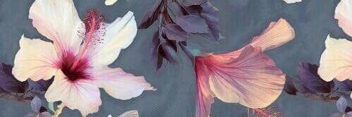 samambaia____'s profile banner image