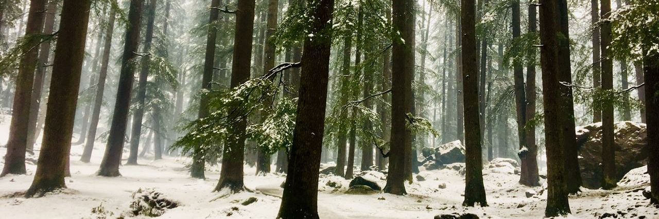 Aditi Chaudhary banner