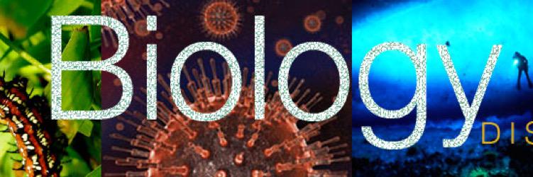 per0X15ome's profile banner image