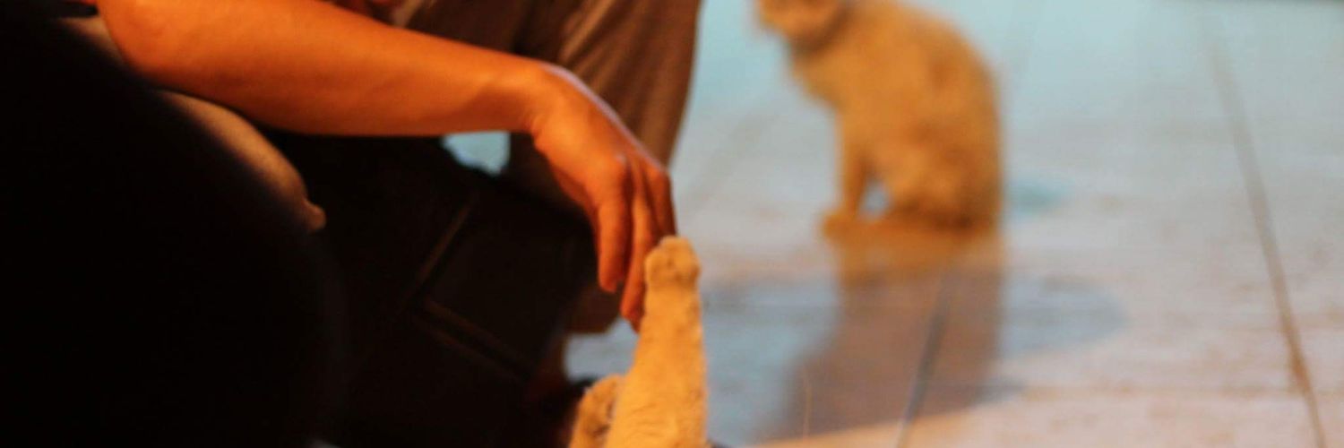 Borgy_00's profile banner image