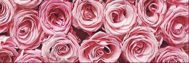 amyduckling's profile banner image