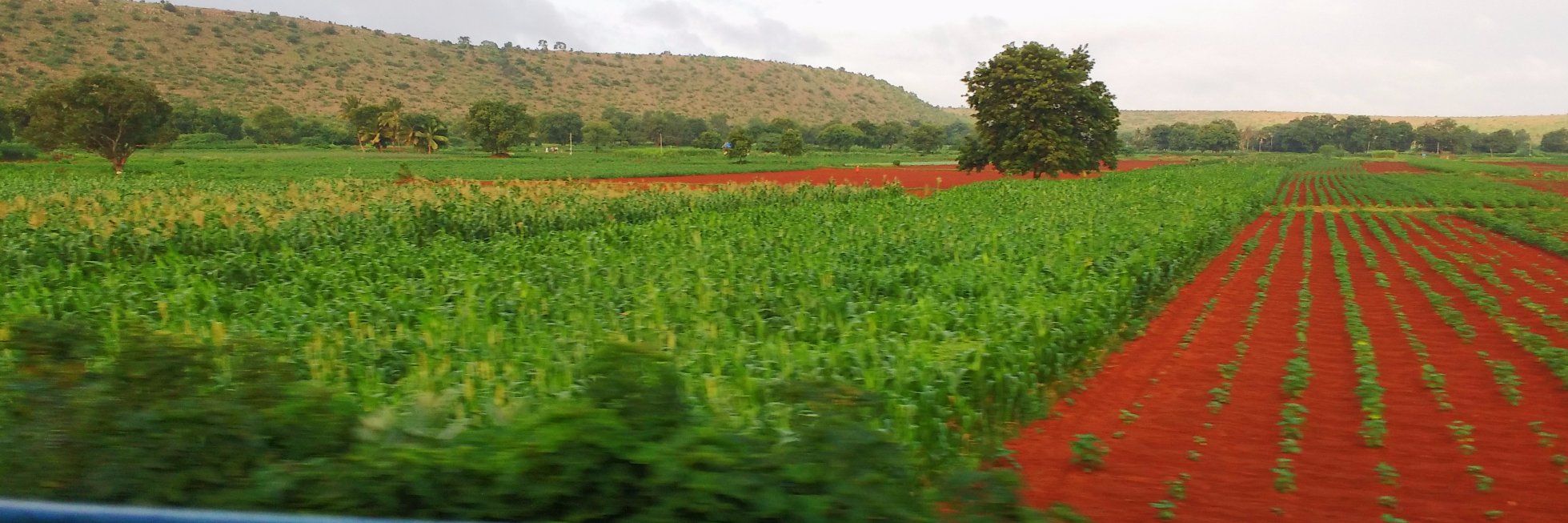 KeyaArati's profile banner image