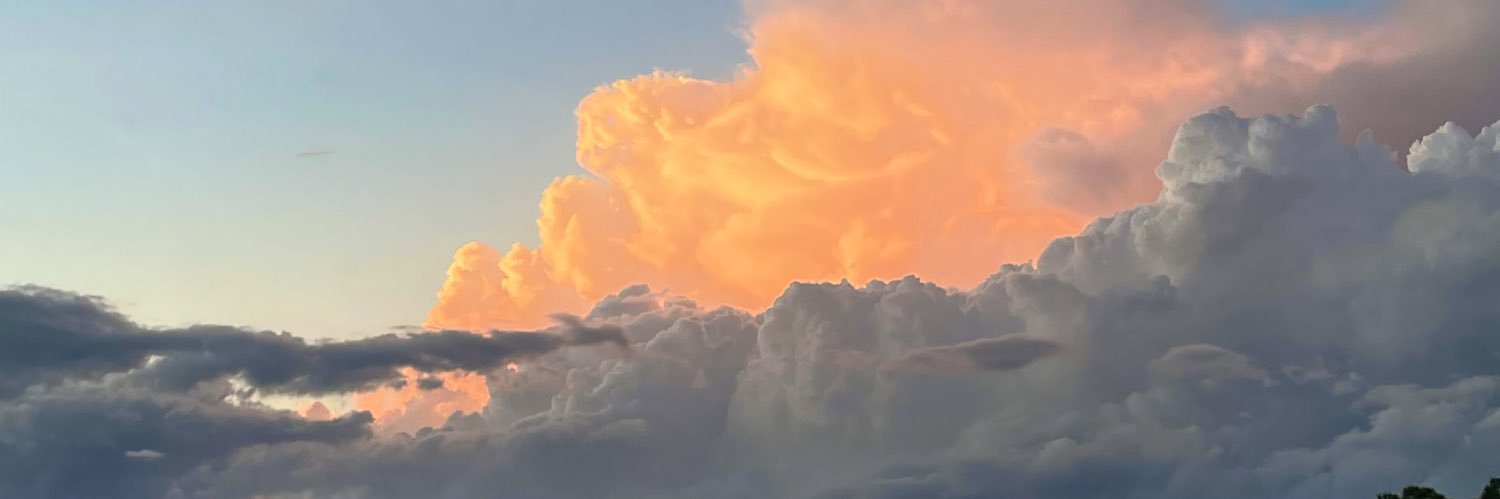Mandimxoxo's profile banner image